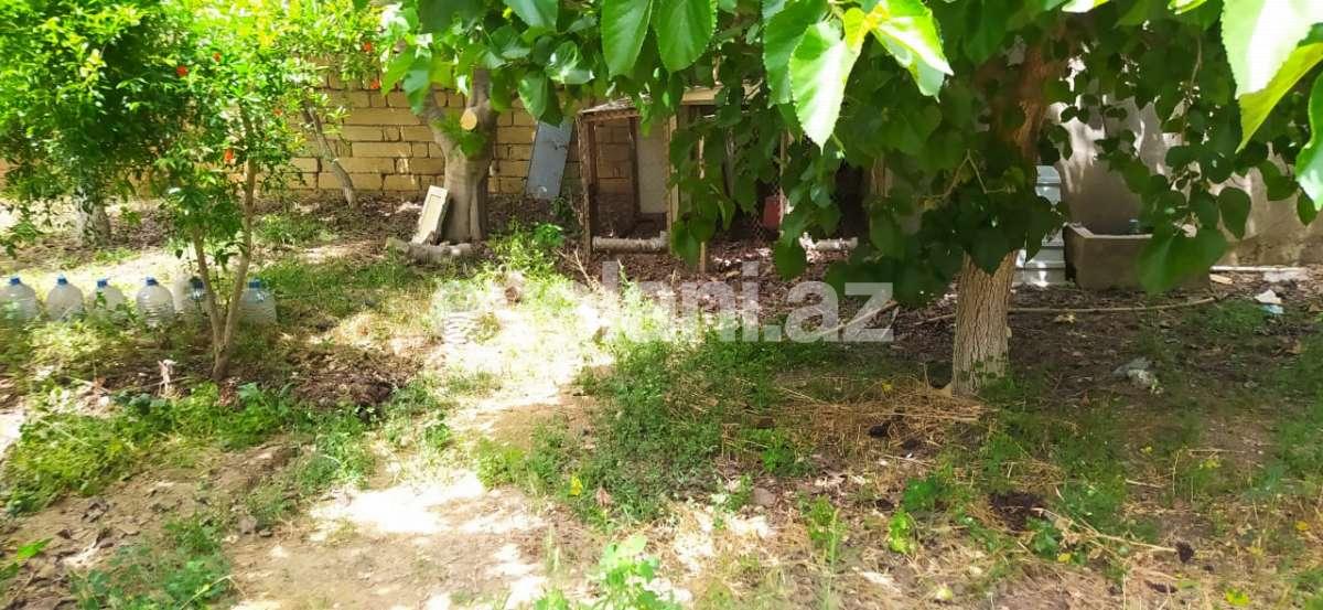 Rent, garden / house, 5 room, 250 m², Baku, Sabail r, Badamdar d.