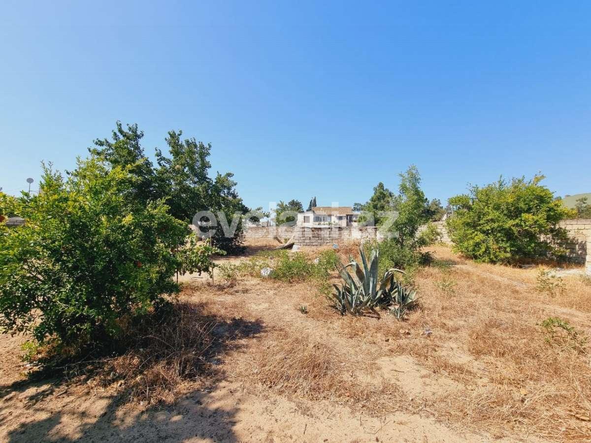 Sale, land, 8 ar, Baku, Khazar r, Shuvalan d.