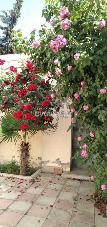 Satılır, villa, 5 otaqlı, 170 m², Bakı, Səbail r, Badamdar q.