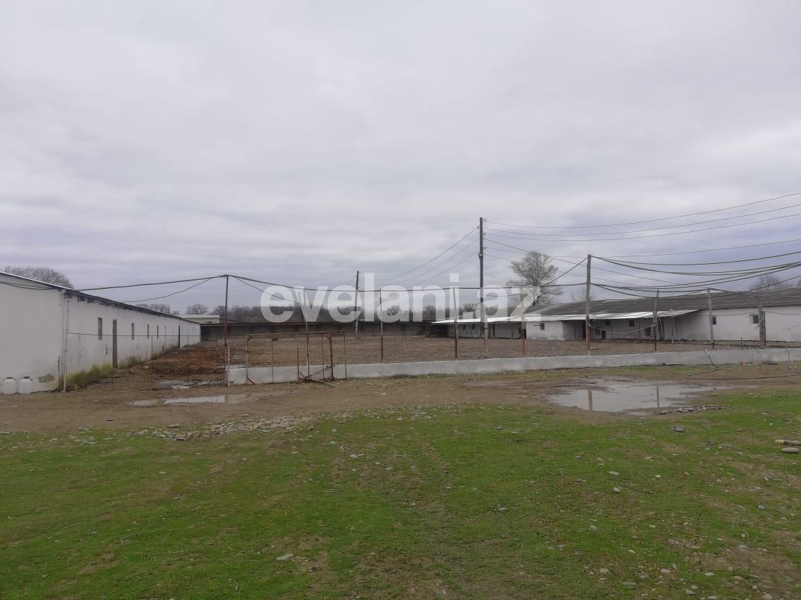 Satılır, obyekt, 4200 m², Xudat