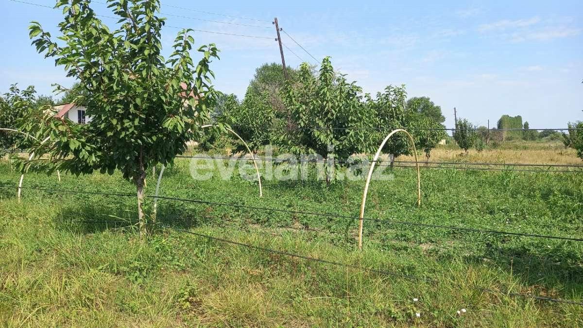 Satılır, obyekt, 2000 m², Xaçmaz