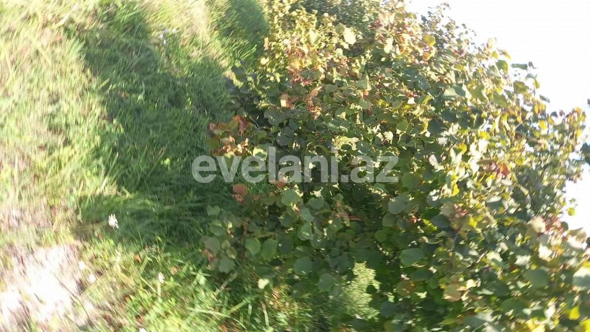 Satılır, obyekt, 2000 m², Xaçmaz