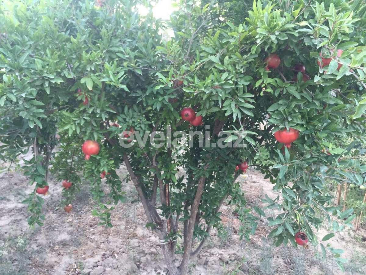 Satılır, həyət evi / bağ, 7 otaqlı, 540 m², Bakı, Xəzər r, Mərdəkan q, Koroğlu m.