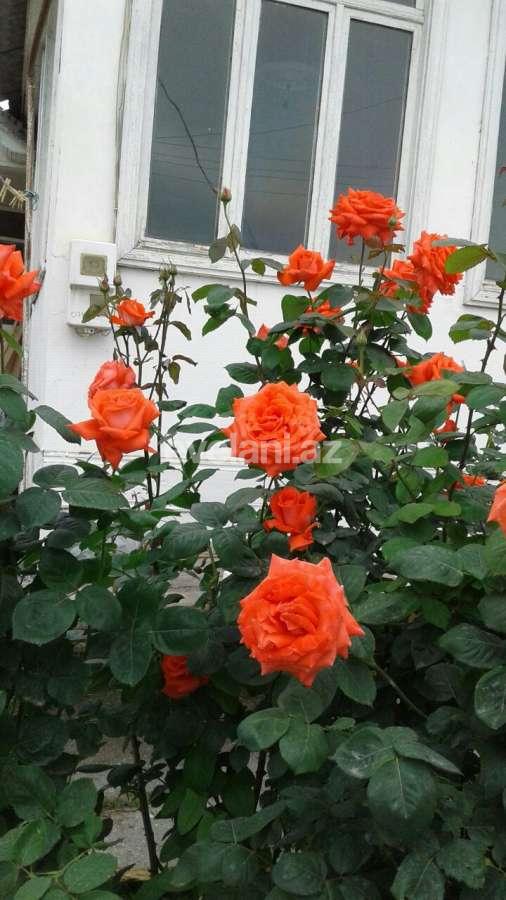 Satılır, həyət evi / bağ, 3 otaqlı, 102 m², Xaçmaz