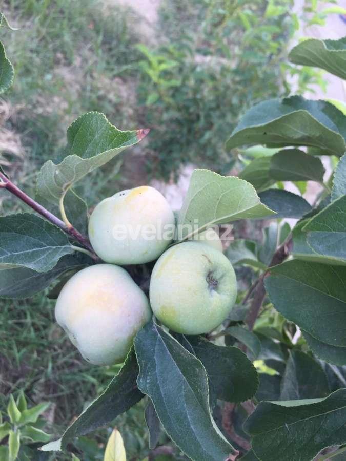 Продаётся, дом / дача, 8-комнаты, 330 m², Баку, Хазарский r, Бина p, Кероглу m.