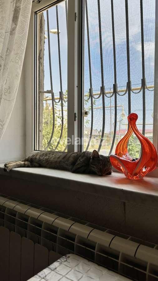 Satılır, həyət evi / bağ, 4 otaqlı, 100 m², Bakı, Suraxanı r, Bülbülə q.