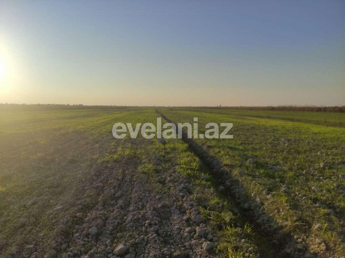 Satılır, torpaq, 326 sot, Göyçay