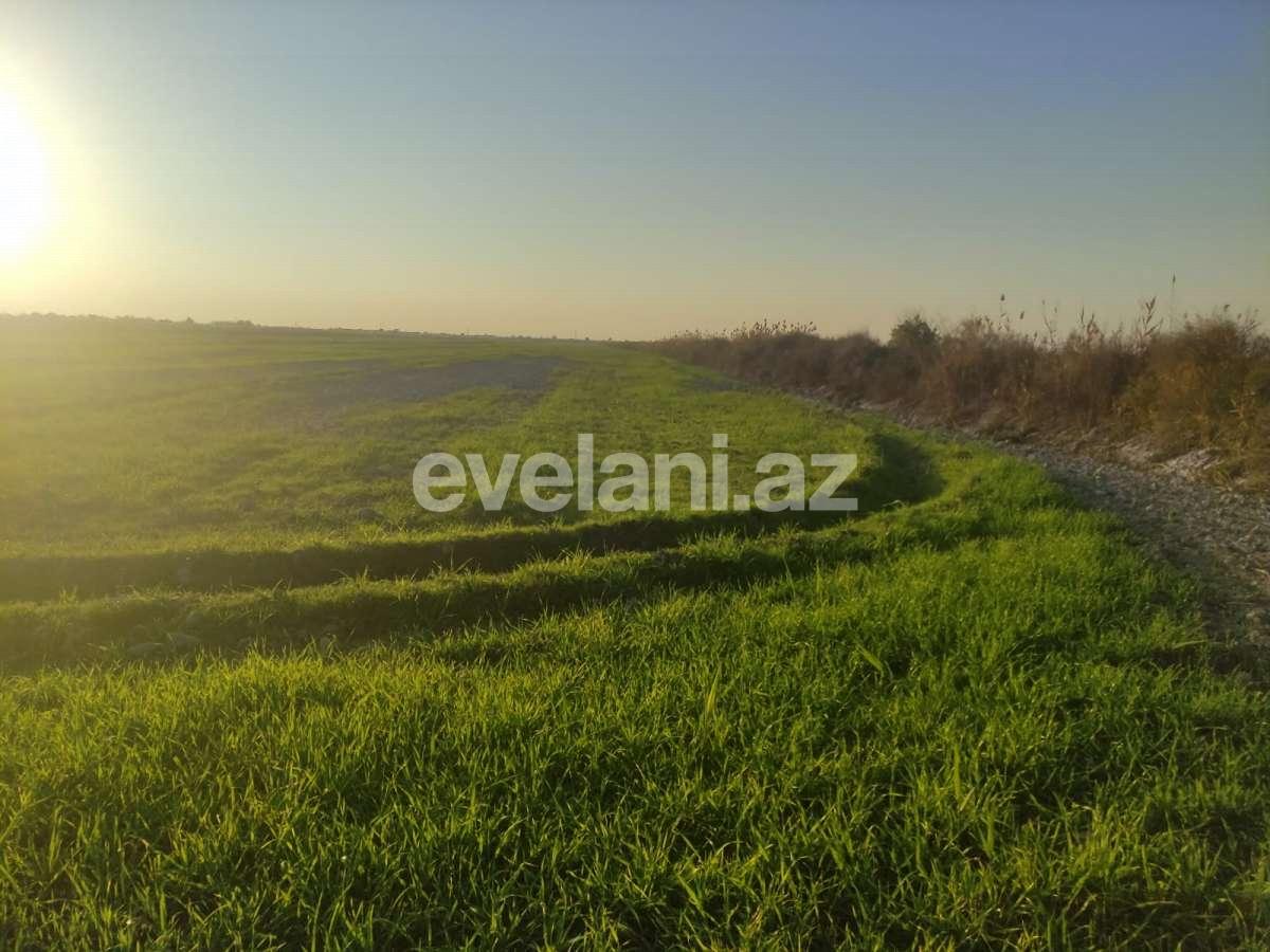 Satılır, torpaq, 326 sot, Göyçay