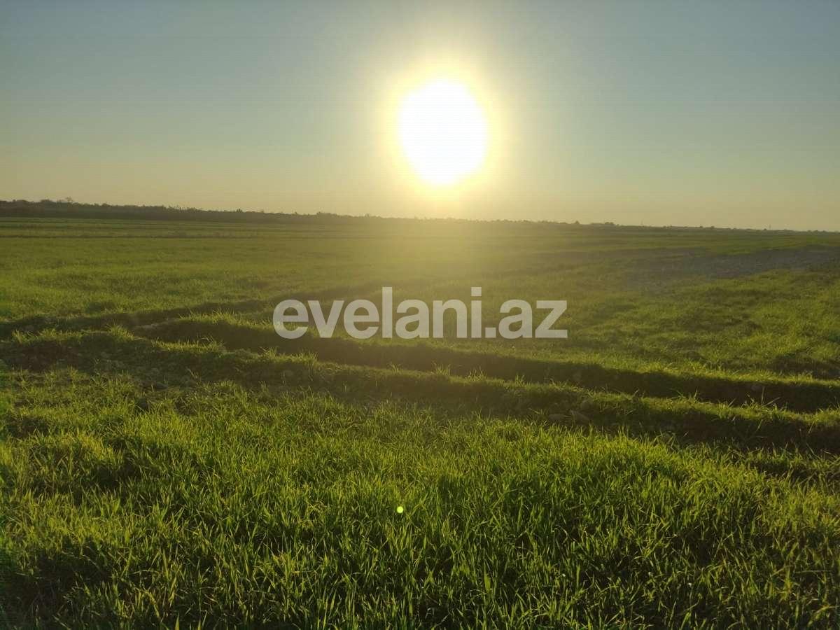 Satılır, torpaq, 326 sot, Göyçay