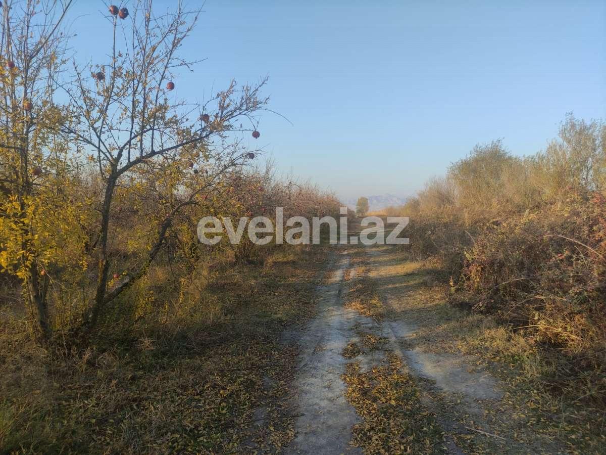 Satılır, torpaq, 326 sot, Göyçay