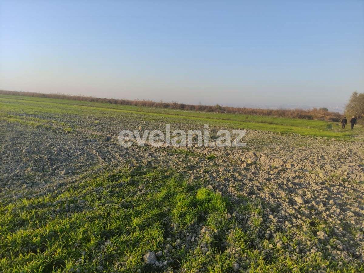 Satılır, torpaq, 326 sot, Göyçay