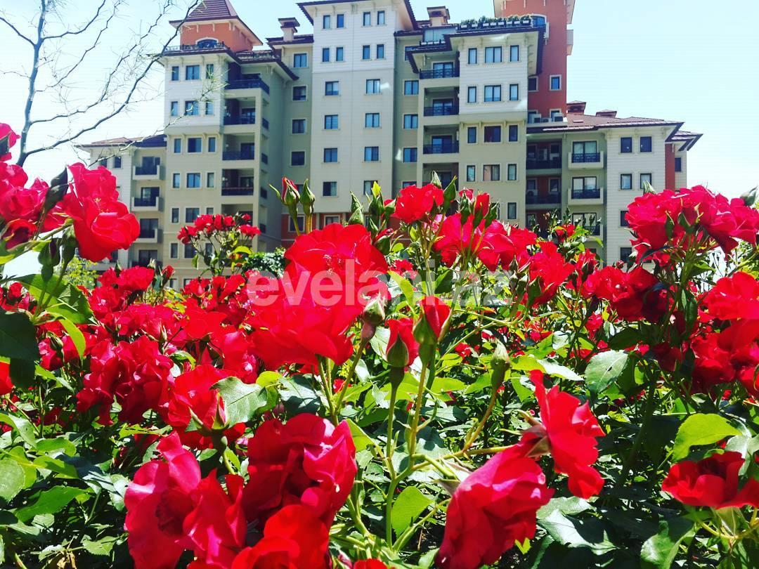 Satılır, obyekt, 960 m², Bakı, Nərimanov r.