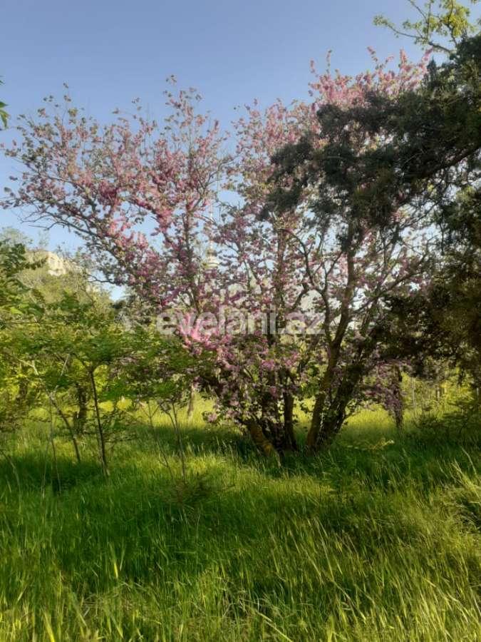 Sale, old building, 4 room, 94 m², Baku, Sabail r, Elmlar Akademiyası m.