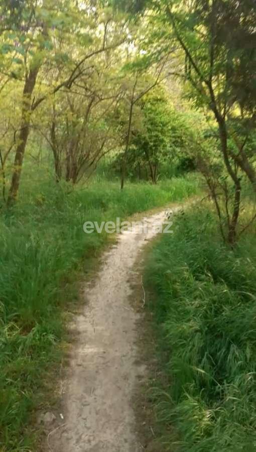 Sale, old building, 4 room, 94 m², Baku, Sabail r, Elmlar Akademiyası m.