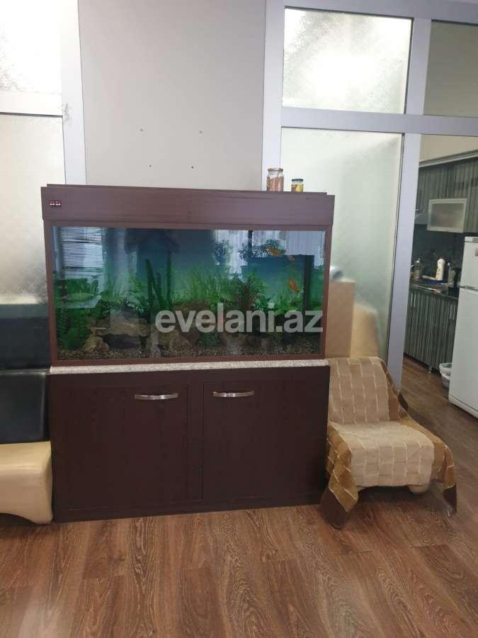 Kirayə verilir, ofis, 2 otaqlı, 70 m², Bakı, Xətai r, Şah İsmayıl Xətai m.