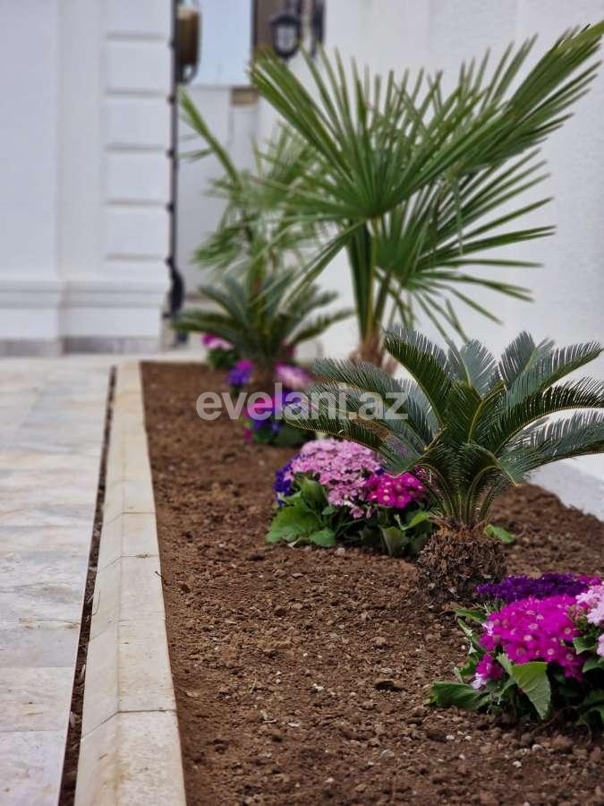 Satılır, villa, 6 otaqlı, 240 m², Bakı, Səbail r, Badamdar q.