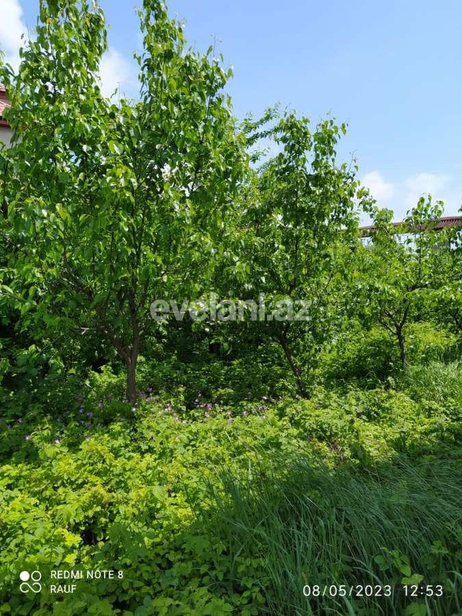 Satılır, həyət evi / bağ, 7 otaqlı, 200 m², Quba