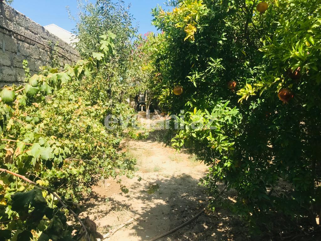 Satılır, həyət evi / bağ, 4 otaqlı, 100 m², Bakı, Xəzər r, Binə q.