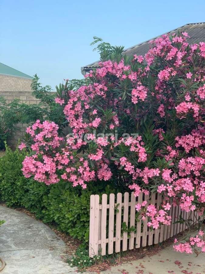 Sale, garden / house, 6 room, 210 m², Baku, Khazar r, Gala d.