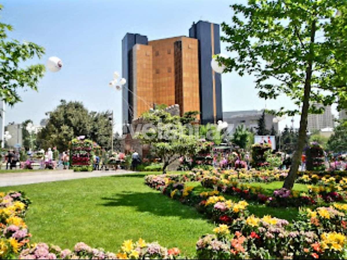 Сдаётся, вторичка, 2-комнаты, 46 m², Баку, Насиминский r, 28 мая m.