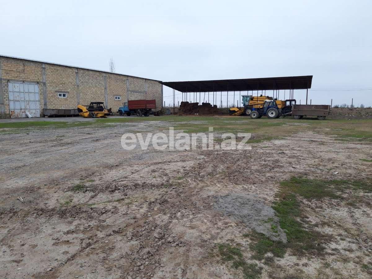 Satılır, torpaq, 50 sot, İmişli