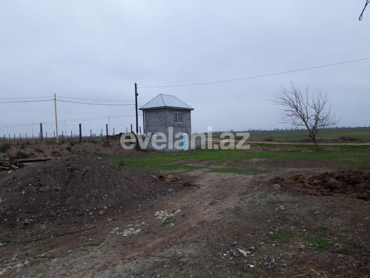 Satılır, torpaq, 50 sot, İmişli