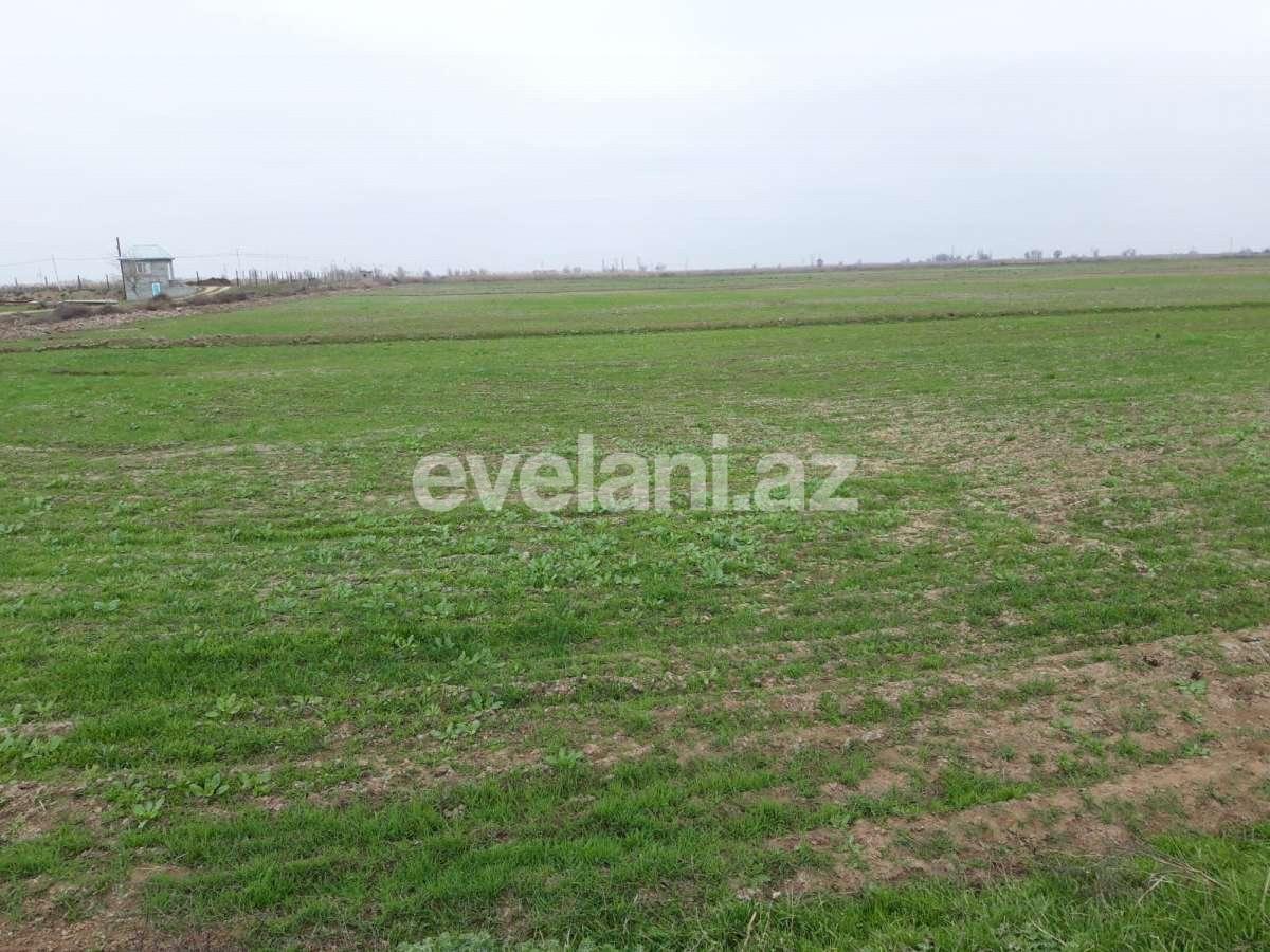 Satılır, torpaq, 50 sot, İmişli