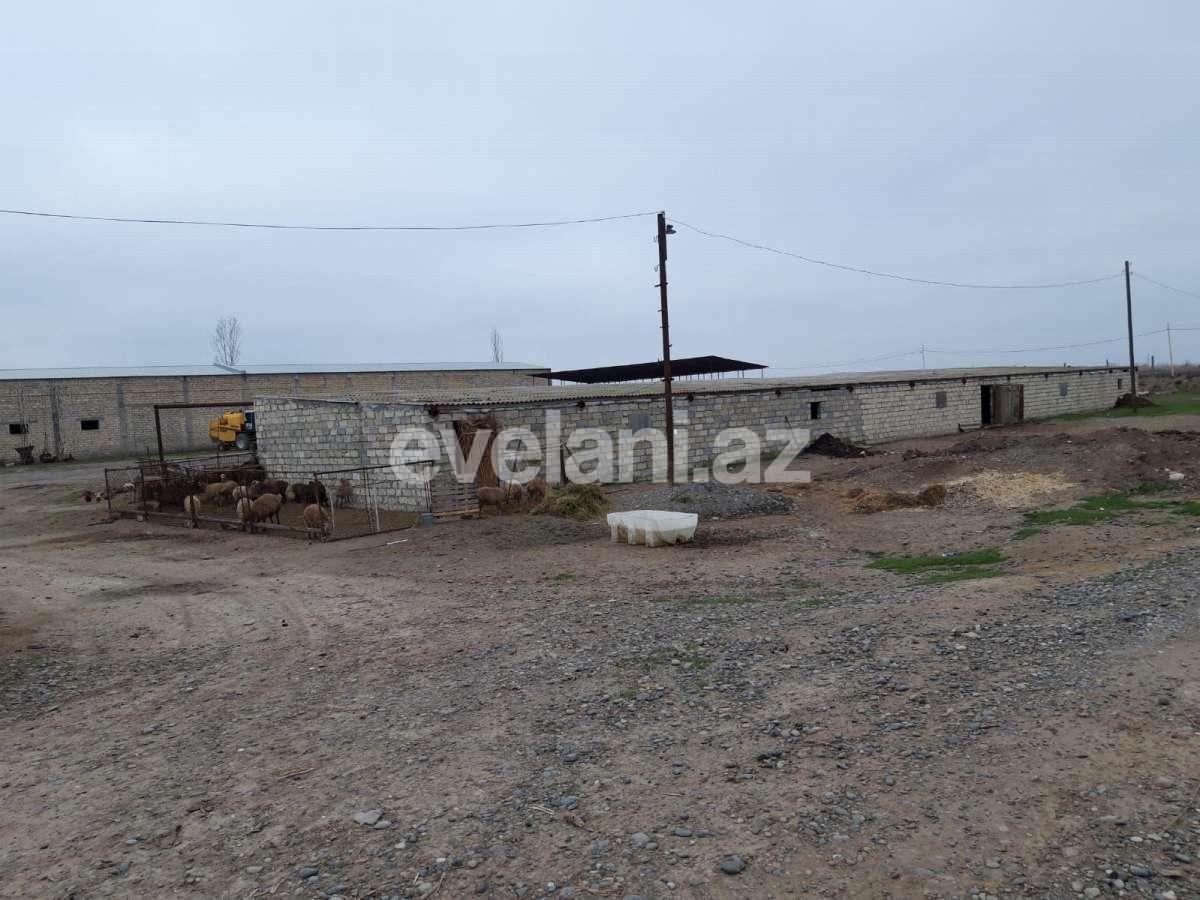 Satılır, torpaq, 50 sot, İmişli