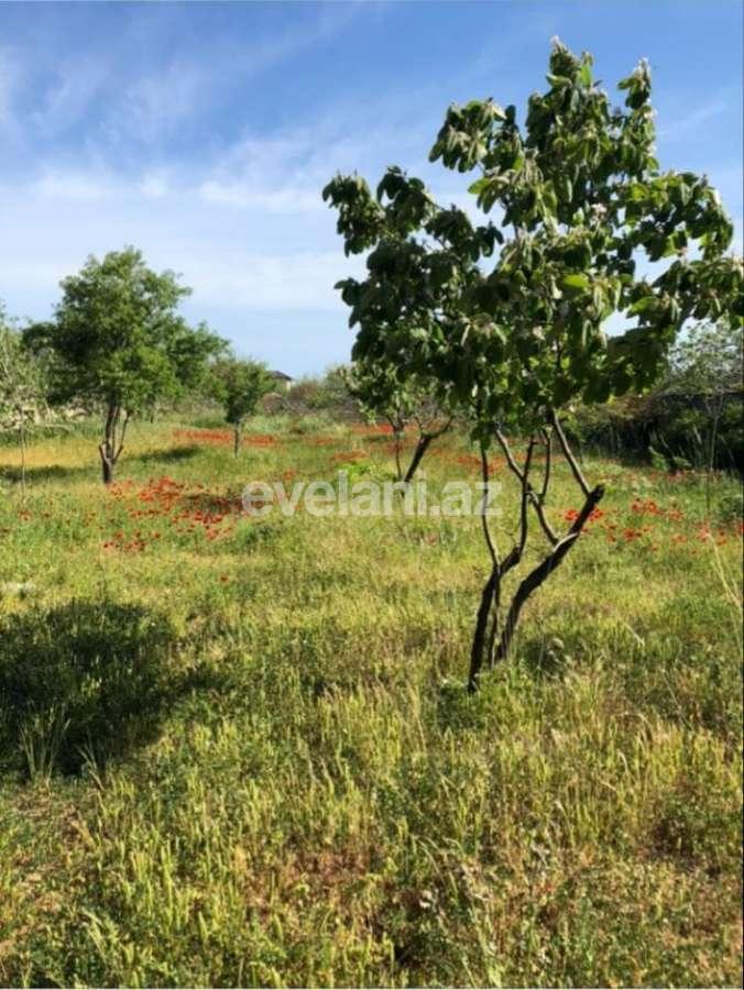 Satılır, həyət evi / bağ, 8 otaqlı, 360 m², Bakı, Sabunçu r, Nardaran q.