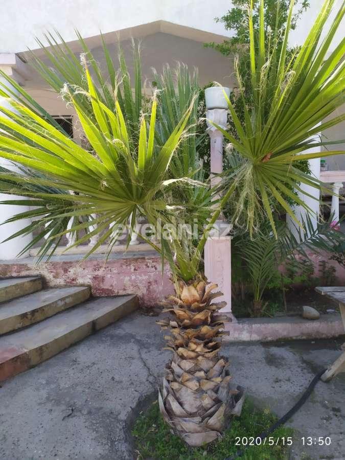 Satılır, həyət evi / bağ, 7 otaqlı, 580 m², Bakı, Xəzər r.