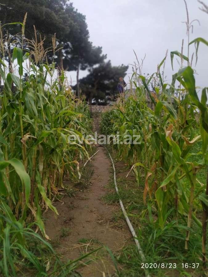 Satılır, həyət evi / bağ, 7 otaqlı, 580 m², Bakı, Xəzər r.