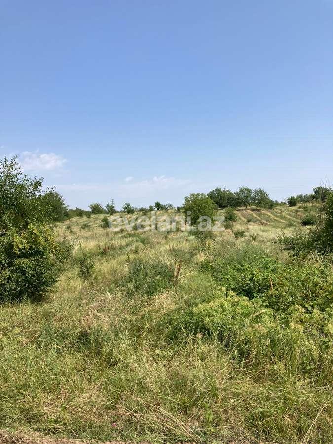 Satılır, torpaq, 630 sot, Quba