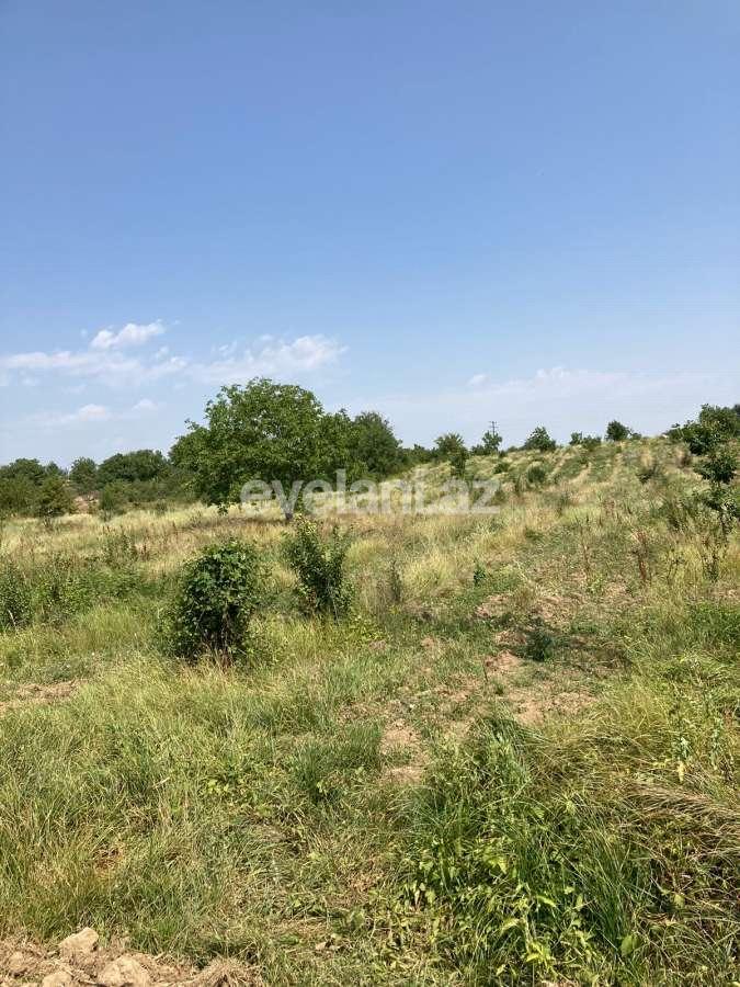 Satılır, torpaq, 630 sot, Quba