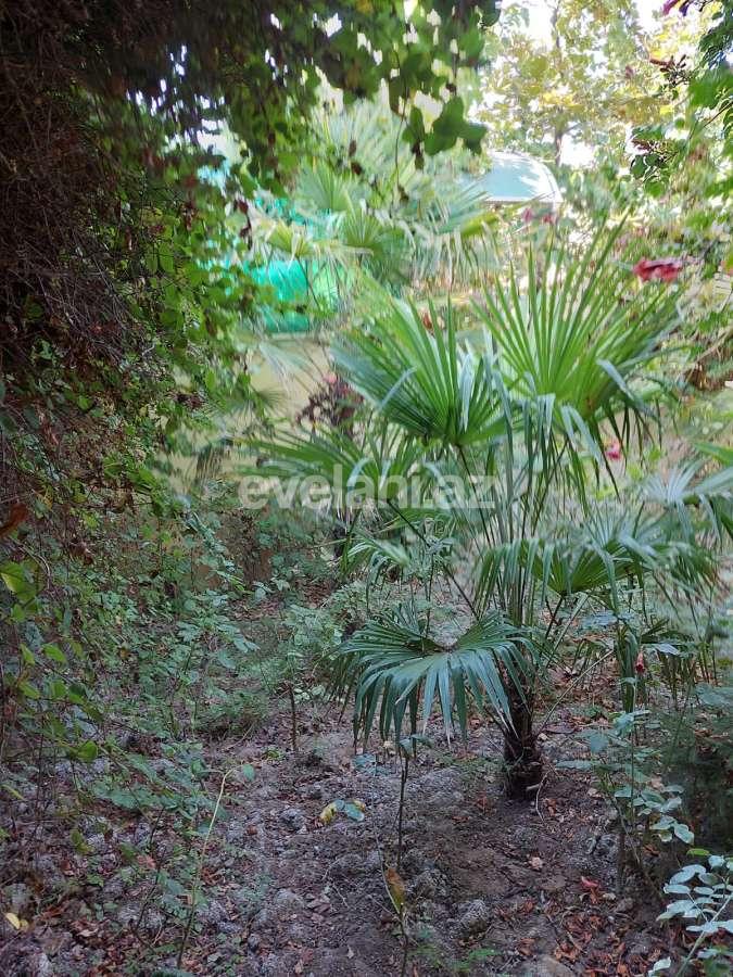 Sale, garden / house, 6 room, 320 m², Baku, Absheron r, Masazir d.