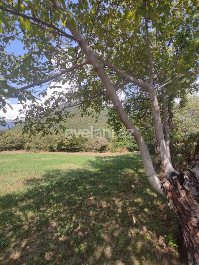 Satılır, torpaq, 22 sot, Şəki