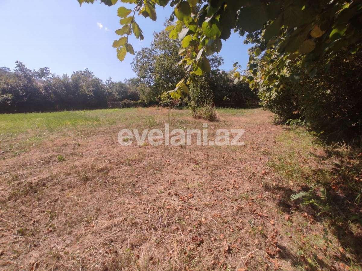 Satılır, torpaq, 22 sot, Şəki