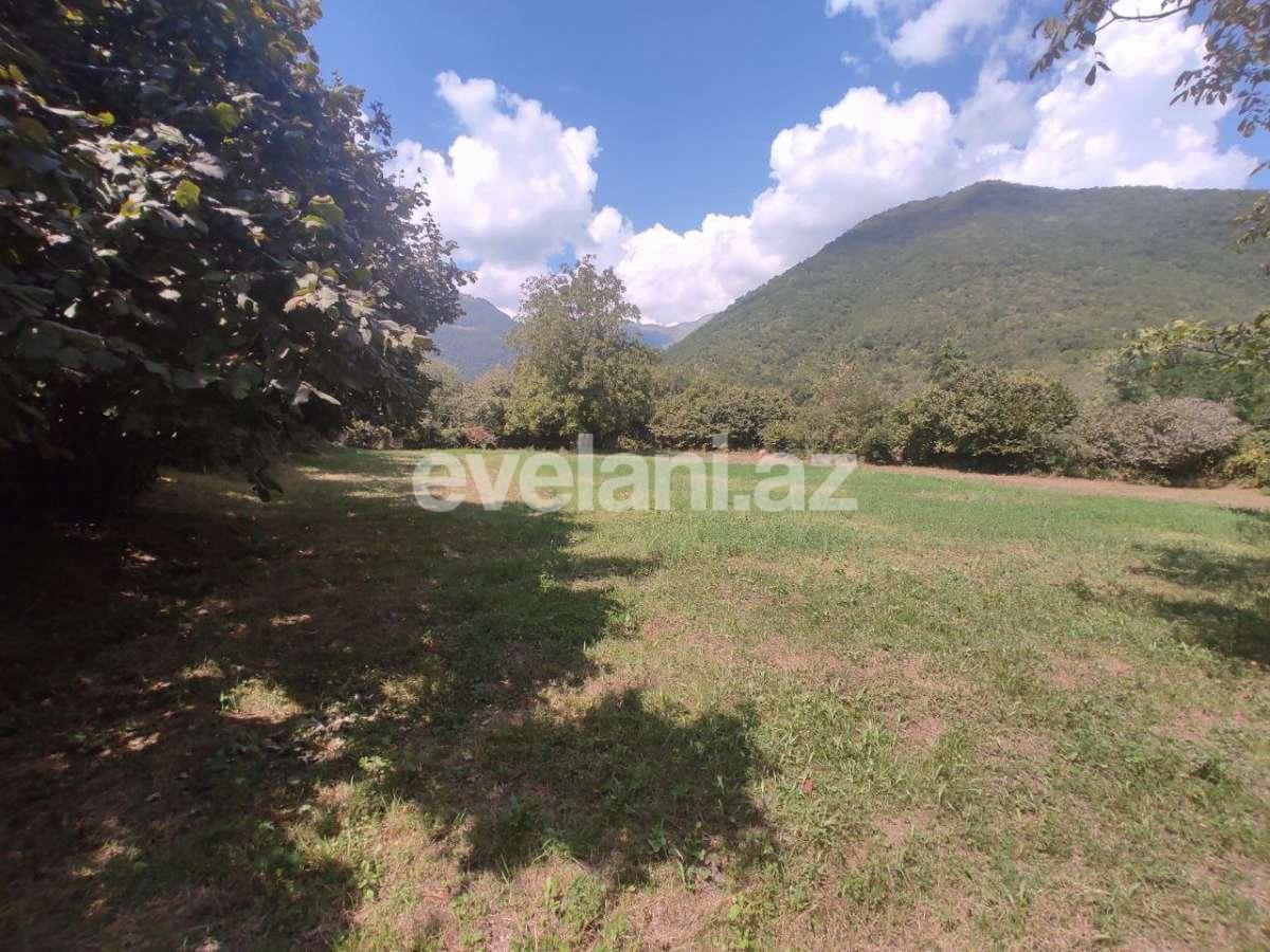 Satılır, torpaq, 22 sot, Şəki