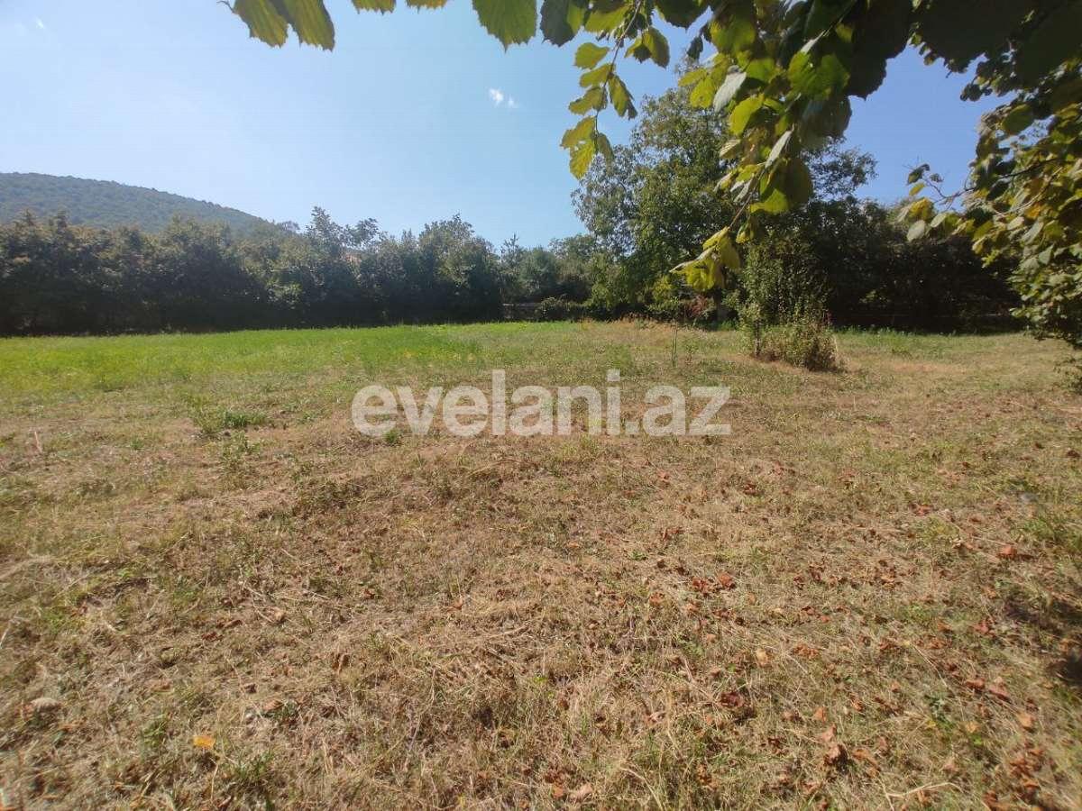 Satılır, torpaq, 22 sot, Şəki