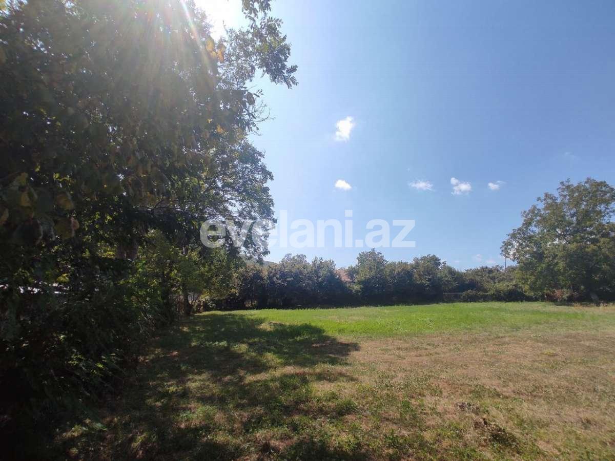 Satılır, torpaq, 22 sot, Şəki