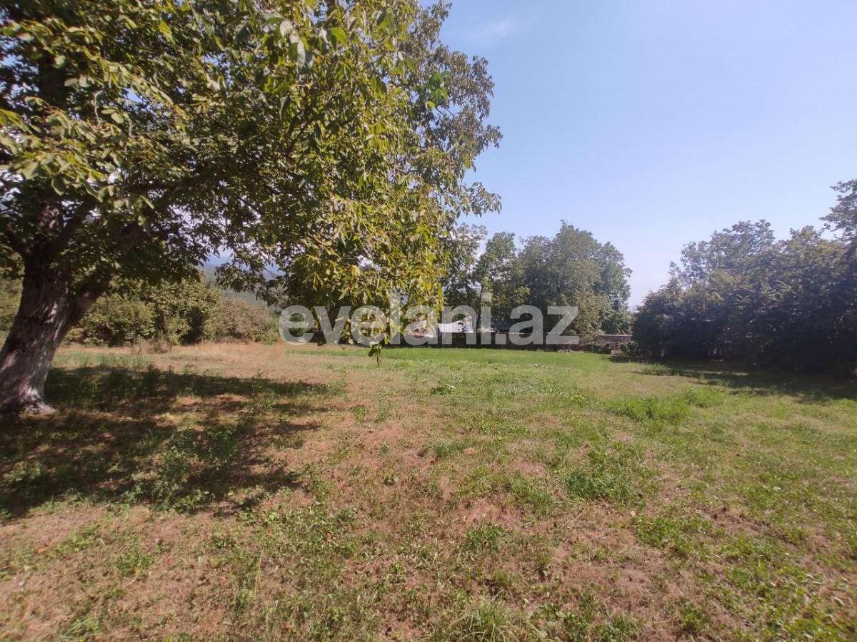 Satılır, torpaq, 22 sot, Şəki