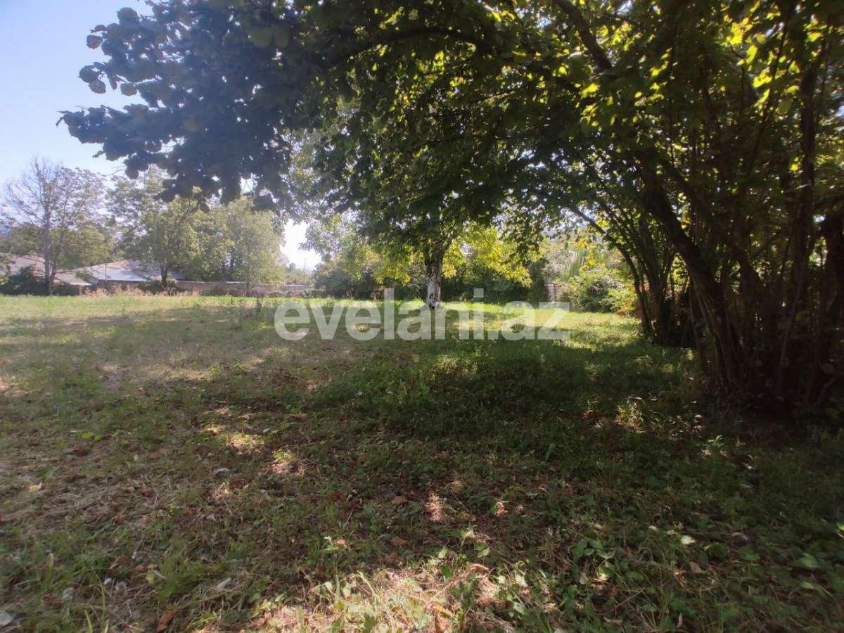 Satılır, torpaq, 22 sot, Şəki