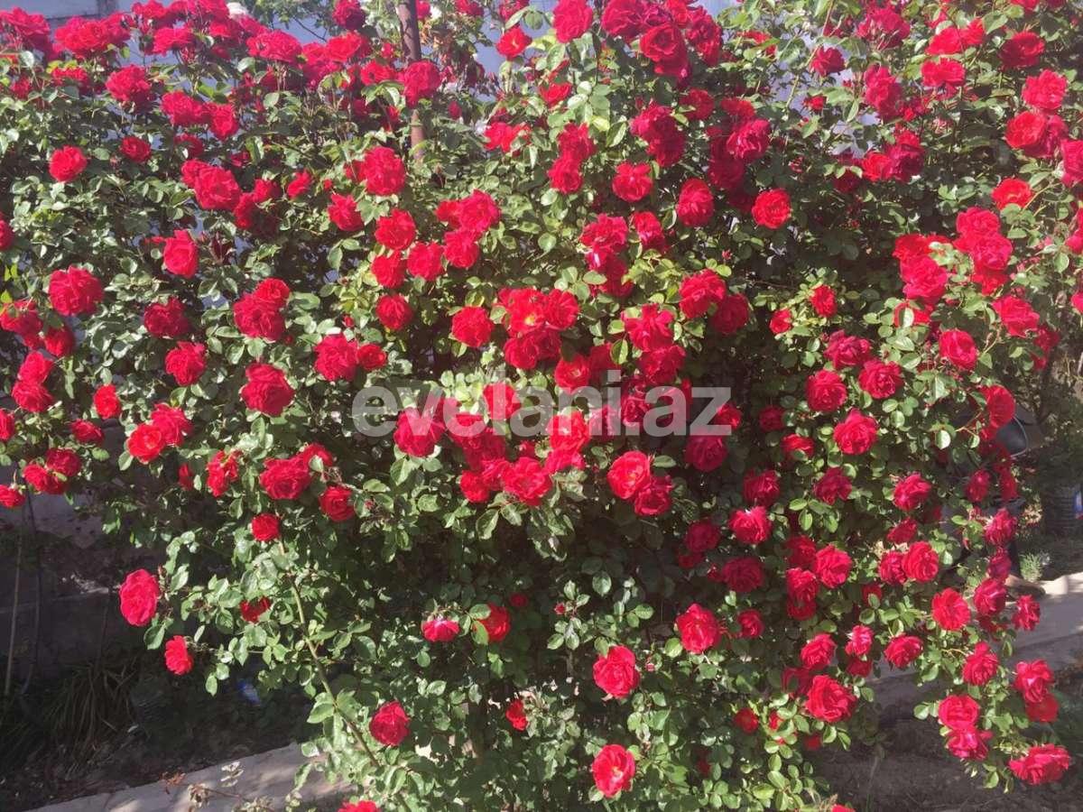 Satılır, villa, 5 otaqlı, 800 m², Bakı, Səbail r, Badamdar q.