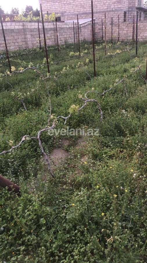 Satılır, torpaq, 10 sot, Bakı, Xəzər r, Şüvəlan q.