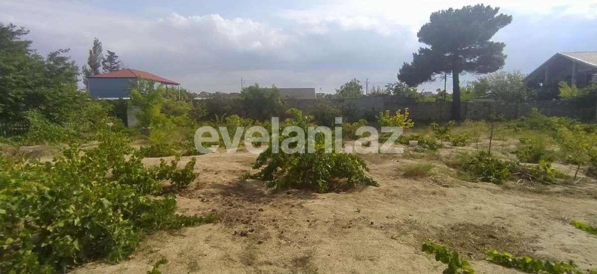 Продаётся, участок, 12 сот, Баку, Абшеронcкий r, Новханы p.