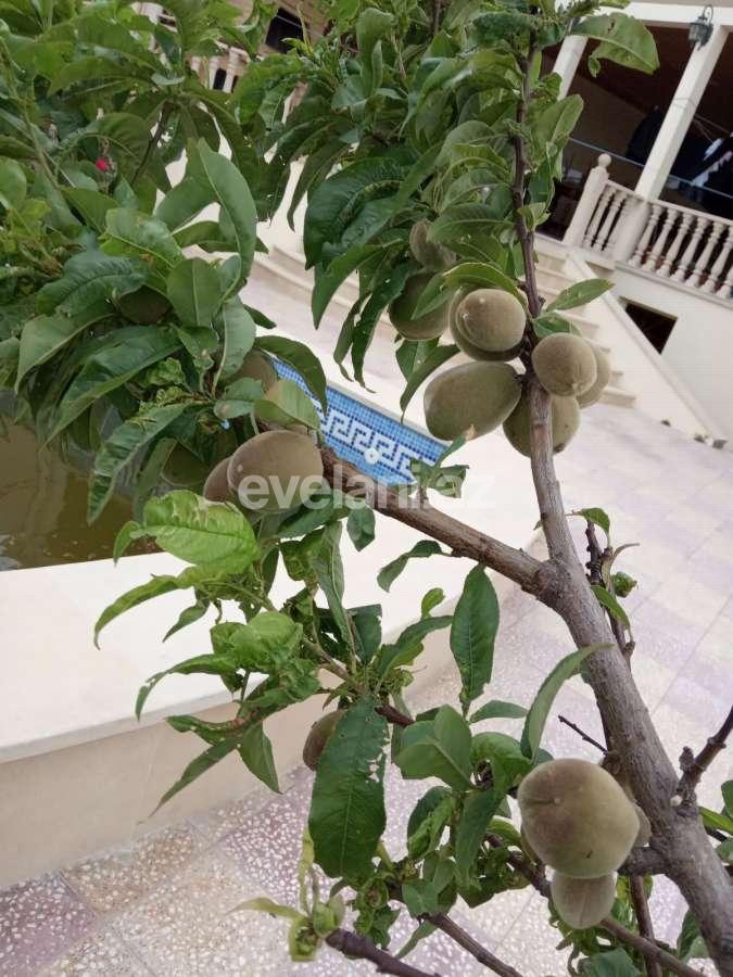 Satılır, villa, 5 otaqlı, 220 m², Bakı, Səbail r, Badamdar q.