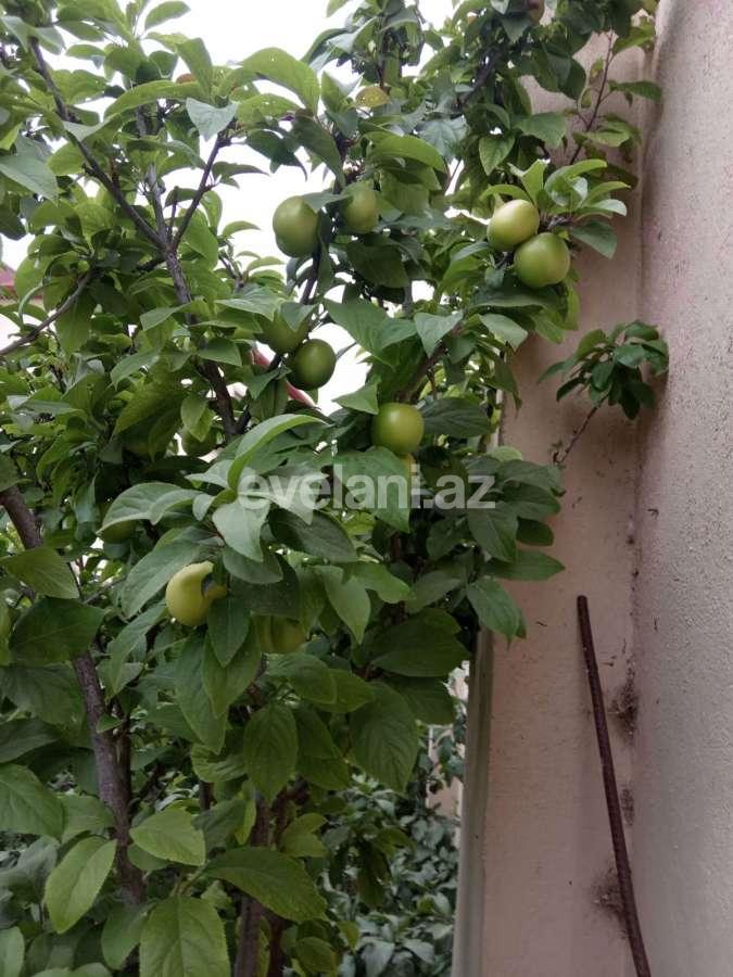 Satılır, villa, 5 otaqlı, 220 m², Bakı, Səbail r, Badamdar q.