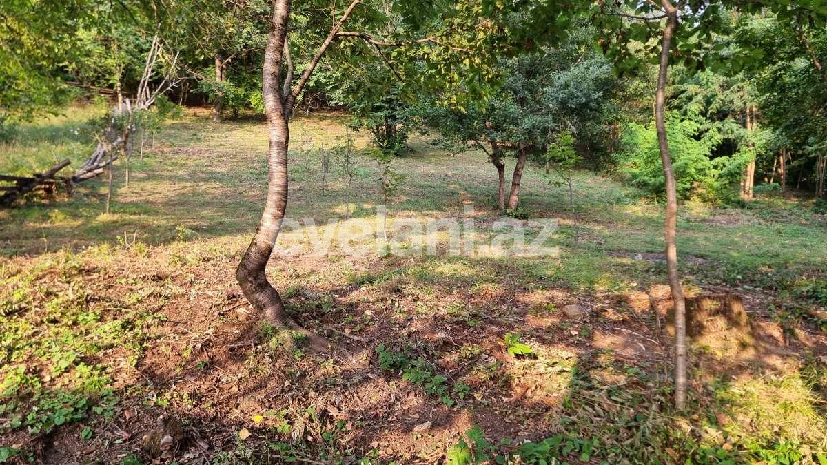 Rent, garden / house, 3 room, 110 m², Gabala