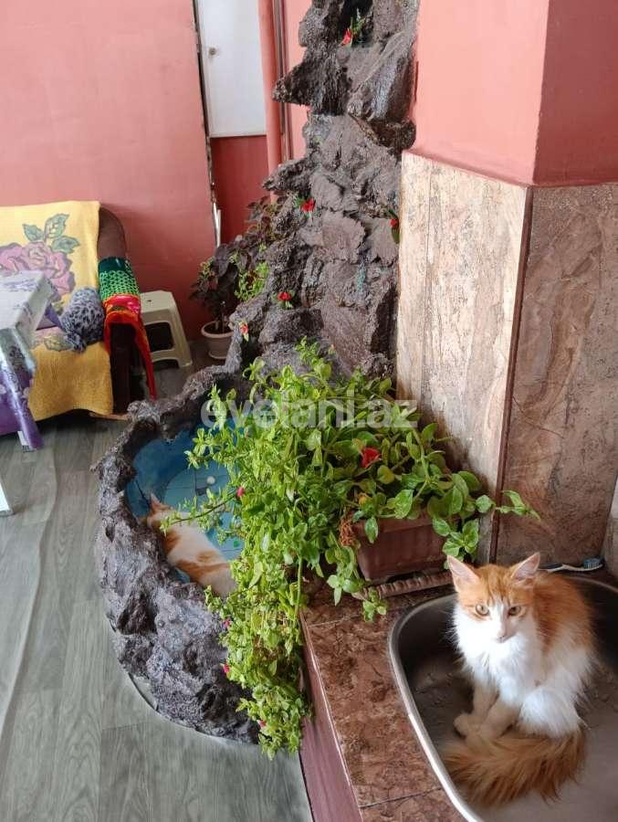 Satılır, həyət evi / bağ, 4 otaqlı, 120 m², Bakı, Xəzər r, Binə q.