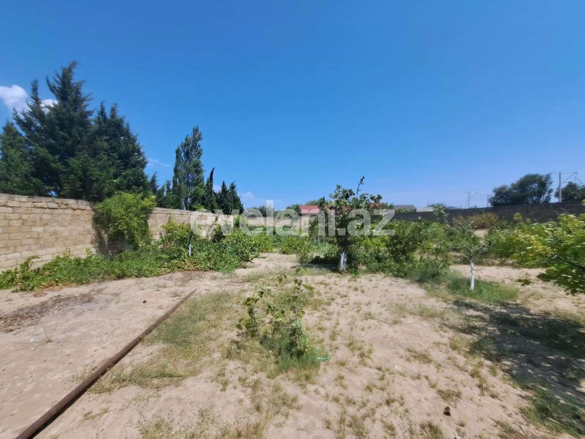 Satılır, həyət evi / bağ, 8 otaqlı, 232.99 m², Bakı, Abşeron r, Görədil q.