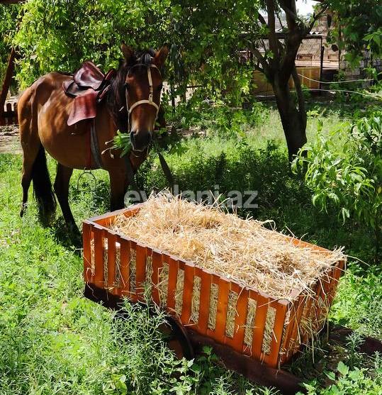 Sale, object, 100 m², Baku, Khazar r.
